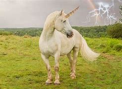 Image result for The Real Life Unicorn