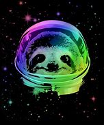 Image result for NASA/ESA Space Sloth
