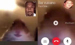 Image result for Instagram Hamster Meme FaceTime