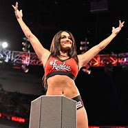 Image result for Nikki Bella Evolution WWE
