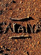 Image result for carana