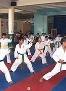 Image result for Shotokan Karate Stances