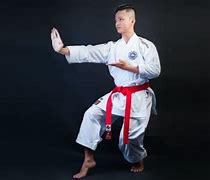 Image result for 5 Stances in Karate