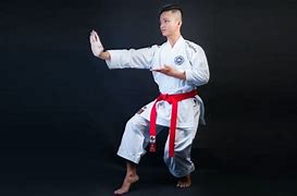 Image result for The Best Martial Arts Stance