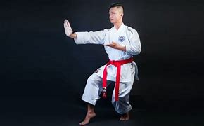 Image result for Karate Shoe Toe Stances