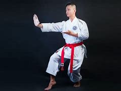 Image result for Red Back Martial Arts