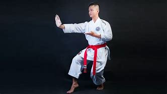 Image result for Red Back Martial Arts