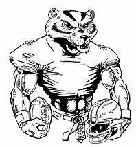 Image result for Wolverines Football