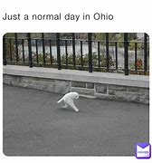 Image result for Most Normal Memes in Ohio