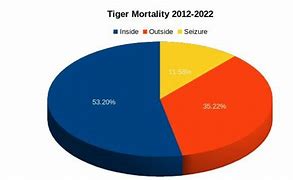 Image result for Killed by Tiger