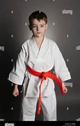 Image result for Boy Port Karate