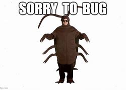 Image result for Sorry to Bug You Meme