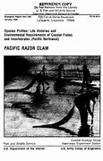 Image result for Pacific Razor Clam