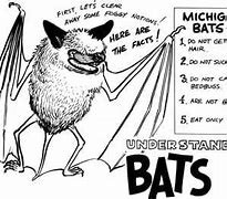 Image result for All Bat Species