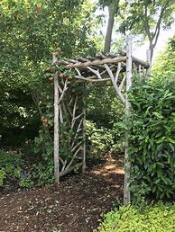 Image result for Arbors Made From Tree Branches