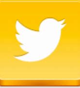 Image result for Yellow Twitter Bird Logo