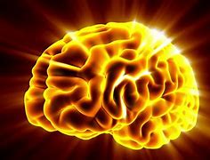 Image result for Brain Universe