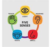 Image result for Five Senses and Perception