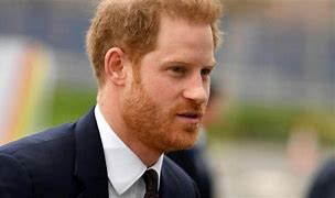 Image result for Prince Harry Life