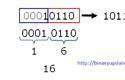 Image result for Binary Hexadecimal