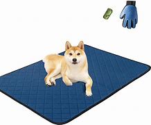 Image result for Dog Training Mat