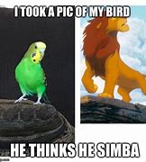 Image result for Simba Meme