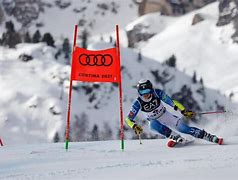 Image result for Alpine Ski Racing