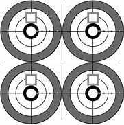 Image result for Targets for Shooting Guns