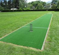 Image result for Cricket Action Turf