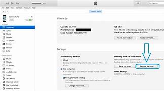 Image result for iTunes Backup for iPhone 12Promax