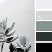 Image result for Isgrey Colour for iPhone 15. Nice