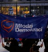Image result for demokracja_uczestnicząca