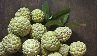 Image result for Custard Apple Posters