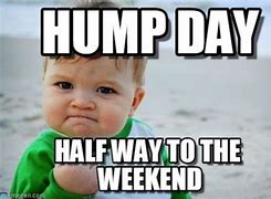 Image result for Hump Day Chiropractic Meme