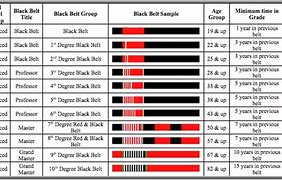 Image result for Black Belt Stripes BJJ