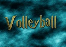 Image result for Volleyball Logo