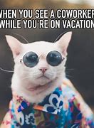 Image result for Funny Cat Memes Sick