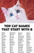 Image result for Cute Anime Cat Girl Names