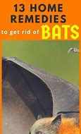 Image result for Do It Yourself Bat Repellent