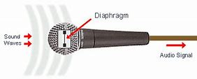 Image result for Capture Diaphragm Microphone