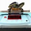 Image result for Portable Weighing Scale