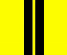 Image result for Green Racing Stripes