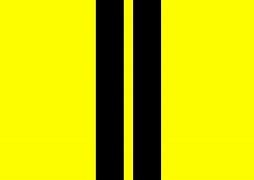 Image result for Horse Racing Stripes