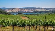 Image result for Dynamite Merlot Red Hills Lake County
