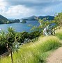 Image result for Guadeloupe