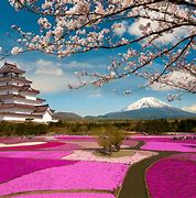 Image result for Top Places to Visit in Japan