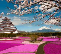 Image result for Japan Places to Visit