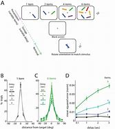 Image result for Capacity of Short-Term Memory