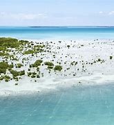 Image result for Key Largo Florida Attractions