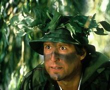 Image result for Chevy Chase Funny Farm